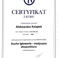 Powiększ obraz: certificate 4