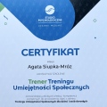 Powiększ obraz: certificate 3