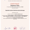 Powiększ obraz: certificate 18