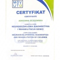 Powiększ obraz: certificate 1