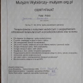 Powiększ obraz: certificate 7