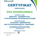 Powiększ obraz: certificate 4