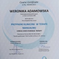 Powiększ obraz: certificate 11