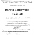 Powiększ obraz: certificate 3