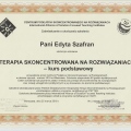 Powiększ obraz: certificate 6