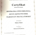 Powiększ obraz: certificate 5
