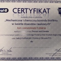 Powiększ obraz: certificate 10