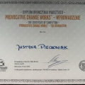 Powiększ obraz: certificate 7