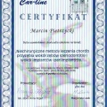 Powiększ obraz: certificate 76