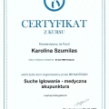 Powiększ obraz: certificate 8
