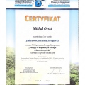 Powiększ obraz: certificate 10