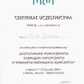 Powiększ obraz: certificate 6