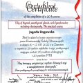 Powiększ obraz: certificate 3