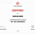 Powiększ obraz: certificate 29
