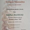 Powiększ obraz: certificate 4