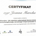 Powiększ obraz: certificate 2