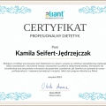 Powiększ obraz: certificate 4