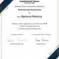 Powiększ obraz: certificate 1