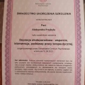 Powiększ obraz: certificate 1