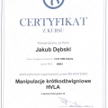 Powiększ obraz: certificate 6