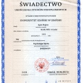 Powiększ obraz: certificate 1