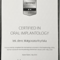 Powiększ obraz: certificate 2