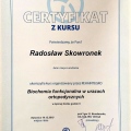 Powiększ obraz: certificate 11
