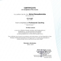 Powiększ obraz: certificate 1