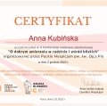 Powiększ obraz: certificate 11