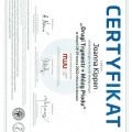 Powiększ obraz: certificate 7