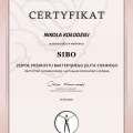 Powiększ obraz: certificate 1