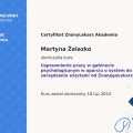 Powiększ obraz: certificate 1