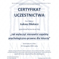 Powiększ obraz: certificate 94