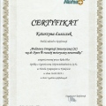 Powiększ obraz: certificate 8
