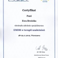 Powiększ obraz: certificate 1
