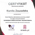 Powiększ obraz: certificate 5