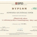 Powiększ obraz: certificate 4