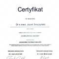 Powiększ obraz: certificate 1