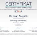 Powiększ obraz: certificate 2