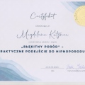 Powiększ obraz: certificate 12