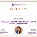 Powiększ obraz: certificate 62