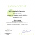 Powiększ obraz: certificate 6