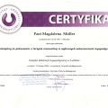 Powiększ obraz: certificate 29