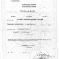 Powiększ obraz: certificate 42