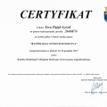 Powiększ obraz: certificate 14