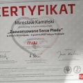 Powiększ obraz: certificate 13