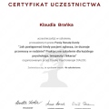 Powiększ obraz: certificate 7