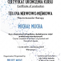 Powiększ obraz: certificate 13