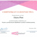 Powiększ obraz: certificate 23
