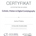 Powiększ obraz: certificate 8